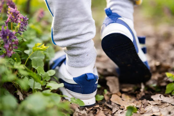 Boy legs wear sneakers walking on forest trail. Outdoor spring leisure concept.