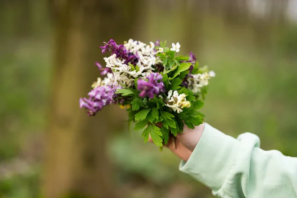Frau Hand Mit Frühlingsstrauß Von Blumen Auf Wald Freizeitkonzept Freien — Stockfoto
