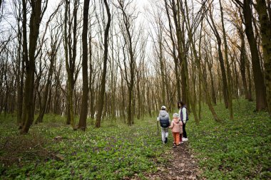 Anne ile el ele tutuşan üç çocuğun orman yolunda yürüdüğünü gördüm. Açık hava bahar eğlence konsepti.