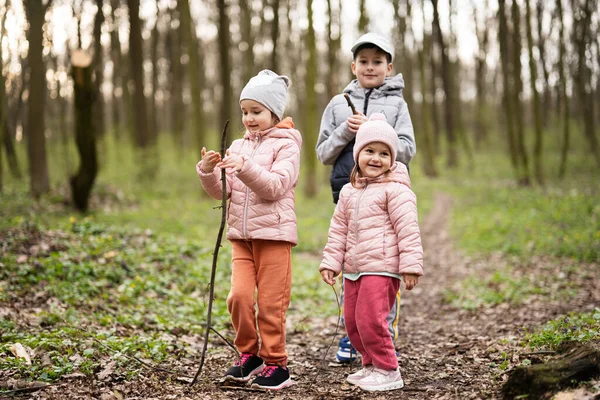 三个孩子徒步旅行 发现了春天的森林 快乐的童年 — 图库照片