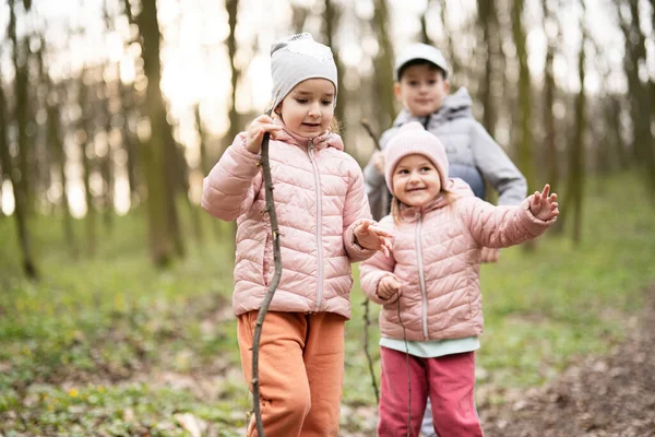 三个孩子徒步旅行 发现了春天的森林 快乐的童年 — 图库照片