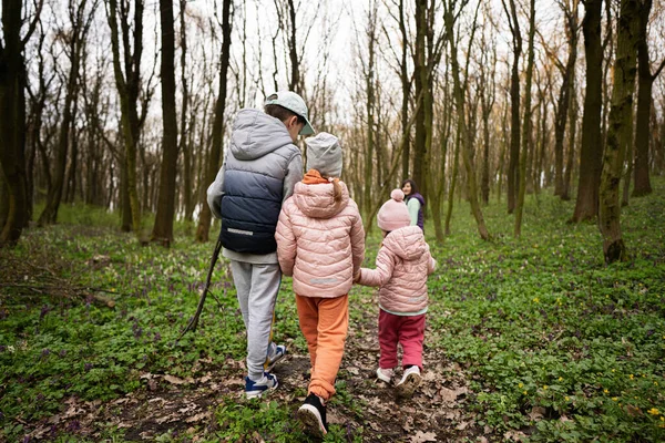 Visão Traseira Três Crianças Mãos Dadas Com Mãe Andando Trilha — Fotografia de Stock