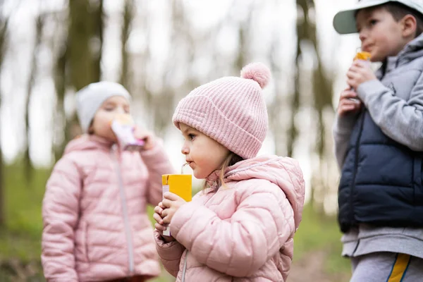 Dzieci Piją Sok Używając Słomek Lesie Szczęśliwe Chwile Dziecka Obraz Stockowy