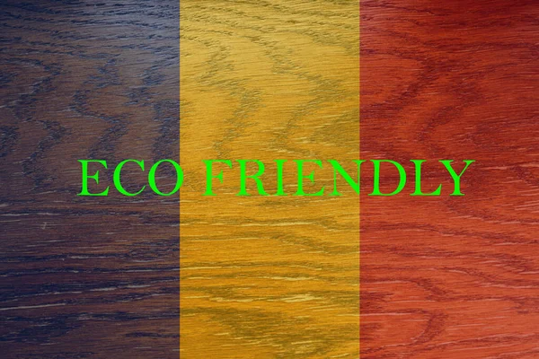 Flaga Rumunii Tle Drewnianym Rzecz Ekologicznego Środowiska Ekologicznego Ekologicznego Oszczędzania — Zdjęcie stockowe