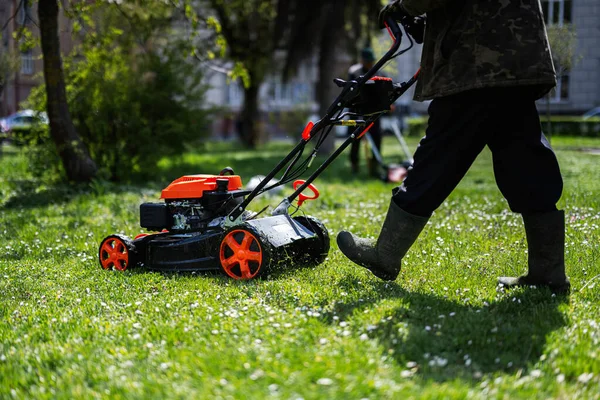 Petugas Kebun Layanan Sosial Menggunakan Mesin Pemotong Rumput Untuk Memotong — Stok Foto