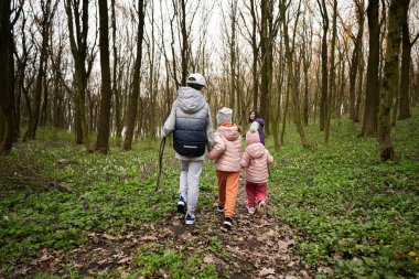 Anne ile el ele tutuşan üç çocuğun orman yolunda yürüdüğünü gördüm. Açık hava bahar eğlence konsepti.