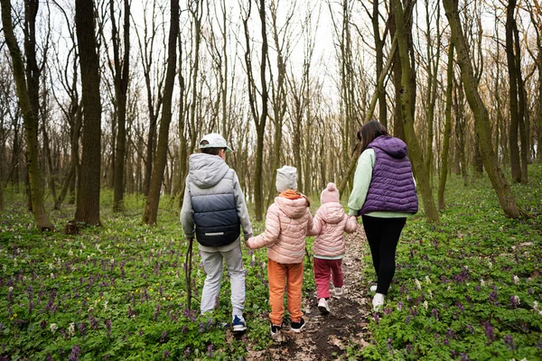 Stock image Back view of  three kids holding hands with mother walking on forest trail. Outdoor spring leisure concept.