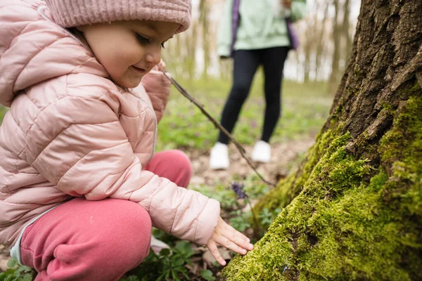 一个森林的小研究人员女孩在树上摸苔藓 — 图库照片