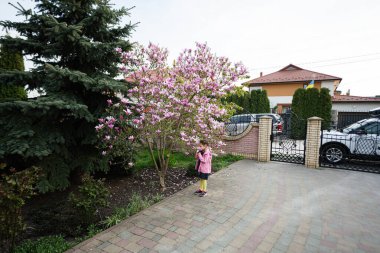 Pembe ceketli anaokulu kızı manolya çiçekli ağacın yanında güzel bir bahar gününün tadını çıkarıyor. İlkbahar aktiviteleri.