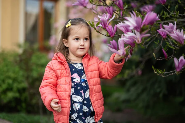 Маленькая Девочка Розовой Куртке Наслаждается Прекрасным Весенним Днем Возле Цветущей — стоковое фото