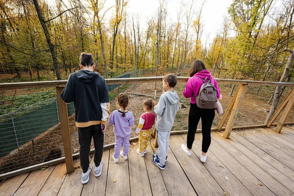 有四个孩子的家庭从木桥上看野生动物 — 图库照片