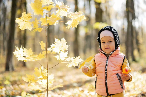 나뭇잎에 딱다구리 장난감을 아름답고 소녀의 — 스톡 사진