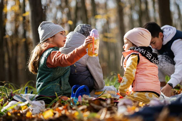 孩子们在秋天的森林里参加家庭野餐 美丽多姿的秋日 — 图库照片