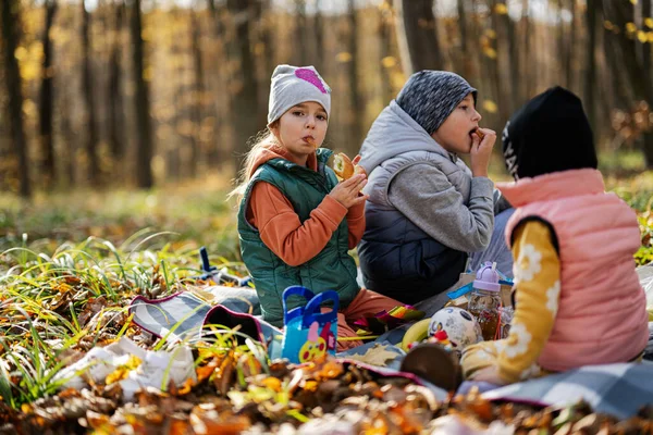 孩子们在秋天的森林里参加家庭野餐 美丽多姿的秋日 — 图库照片