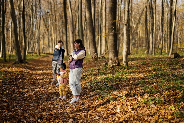 Mother Kids Family Leisure Autumn Activity Forest — Stock Photo, Image