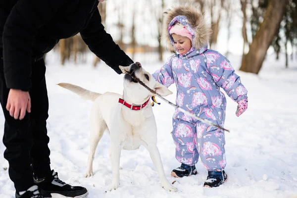 Παιδιά Παίζουν Λαμπραντόρ Σκυλί Μια Ηλιόλουστη Παγωμένη Μέρα Του Χειμώνα — Φωτογραφία Αρχείου