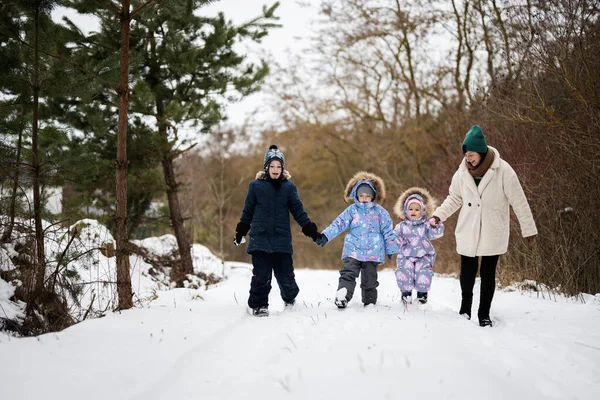 Mother Three Kids Holding Hands Walking Winter Forest — Stok fotoğraf