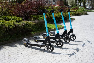 Şehir parkında kiralık elektrikli scooterlar. Şehir ulaşımı.