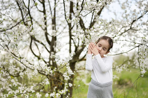 Retrato Menina Pré Escolar Contra Árvore Branca Primavera — Fotografia de Stock