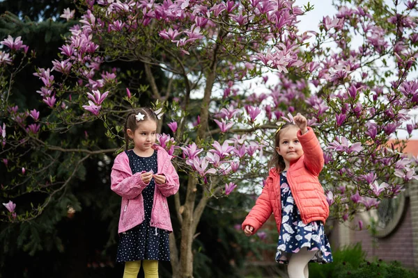 Dwie Młodsze Siostry Cieszące Się Wiosennym Dniem Pobliżu Kwitnącego Drzewa — Zdjęcie stockowe