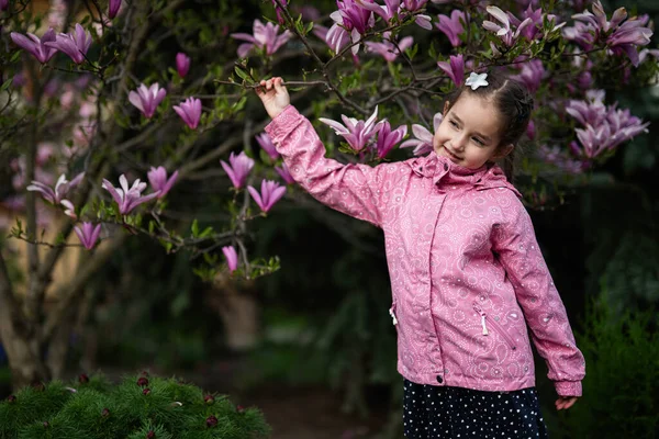 stock image Preschooler girl in pink jacket enjoying nice spring day near magnolia blooming tree. Springtime activities.