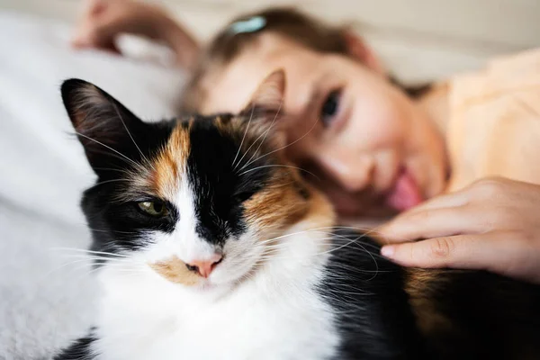 Χαριτωμένο Κοριτσάκι Δείχνει Γλώσσα Γάτα Της Στο Σπίτι Κοντινό Πλάνο — Φωτογραφία Αρχείου