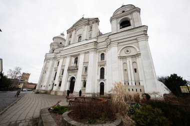 Lutsk, Ukrayna - Mart 2024: Aziz Peter ve Paul Katolik Katedrali.