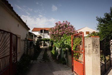 Çiçek açan pembe çiçekler, kırsal binalar ve Hırvatistan 'ın Nin kentinde davetkar, açık bir kapının yer aldığı güzel bir köy manzarası.