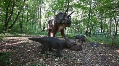 Yeşillik bir ormanda gerçekçi Triceratops dinozor modellerini gösteren bir video. Bu büyüleyici görüntü bir merak hissi uyandırıyor ve izleyicileri tarih öncesi çağa götürüyor..