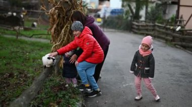 Küçük çocukları olan bir aile çiftlik yolunda siyah beyaz bir kediyi okşuyor. Aile, doğada rahatlatıcı bir gün geçirir. İnsanın içini ısıtan aile anıları yaratır..