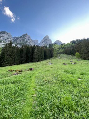 Beautiful mountain landscape featuring a lush green meadow, forested hills, and a clear blue sky in Gosausee, Austria. Serene and idyllic setting perfect for nature lovers and outdoor enthusiasts. clipart