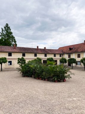 Çek Cumhuriyeti 'nin Lysice şehrinin merkezinde seramik bitkilerin yer aldığı sakin tarihi bir avlu. Eski binaların kırsal bir cazibesi var, bulutlu gökyüzüne karşı kurulmuş, barışçıl bir atmosfer yaratıyor..
