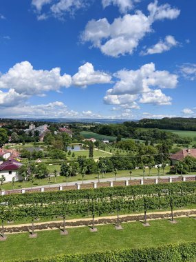 Stunning vineyard scene with lush greenery under a vibrant blue sky filled with fluffy white clouds in Kunstat, Czech Republic. Captures the beauty and tranquility of rural life and nature's serenity. clipart