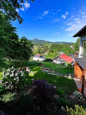 Yeşilliklerle çevrili evler ve Avusturya 'da açık mavi bir gökyüzünün bulunduğu sakin bir kırsal alanın resimsel manzarası. Doğa, barış ve kırsal yaşam temaları için ideal.