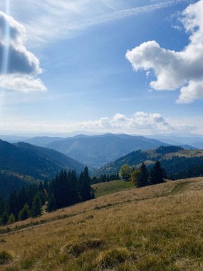 Uçsuz bucaksız mavi gökyüzünün altındaki tüylü beyaz bulutlarla süslenmiş dağların nefes kesici manzarası. Yuvarlanan tepeler ve yemyeşil orman huzurlu ve huzurlu bir manzara yaratıyor. Karpat Dağları, Ukrayna.