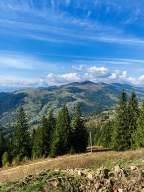 Berrak mavi gökyüzünün altındaki yemyeşil dağların panoramik manzarası. Çerçevelenmiş uzun yeşil ağaçlar. Doğa meraklıları ve manzara fotoğrafçıları için ideal. Karpat Dağları, Ukrayna.