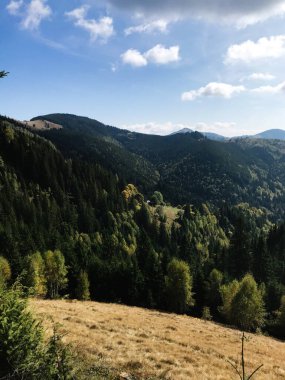 Berrak mavi gökyüzünün altında sık ve yeşil bir ormanı barındıran çarpıcı bir dağ manzarası. Doğanın dingin güzelliğini yakalar, seyahat, macera ve doğayla ilgili konular için mükemmeldir..