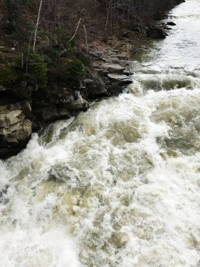 Dramatik nehir akıntıları orman kıyılarıyla birlikte kayaların üzerinden akar ve dinamik bir doğal manzara yaratır. Şelaleler, sakin bir çölde doğanın güçlü gücünü gözler önüne seriyor..
