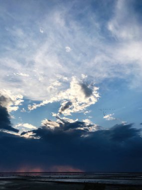 Dramatik bulutlarla dolu çarpıcı bir akşam gökyüzünün olduğu sakin bir kıyı manzarası. Kuşlar canlı arkaplana doğru uçarak doğal güzellik ve sakinlik sahnesi oluştururlar..