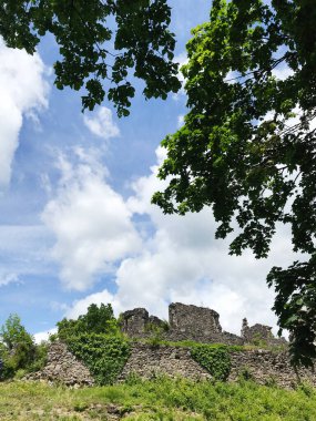 Parlak yeşil ağaçlar ve bitkilerle kaplanmış antik taş kalıntılarının manzaralı manzarası, açık mavi bir gökyüzünün arka planına kurulmuş. Tarih ve doğa konuları için ideal. Nevytsky Şatosu, Ukrayna.
