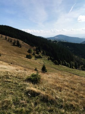 Geniş ormanların ve berrak bir gökyüzünün altında hafif eğimli tepelerin bulunduğu güzel bir dağ manzarası doğa severler ve açık hava meraklıları için idealdir. Huzur ve doğal güzelliği tasvir etmek için mükemmel..