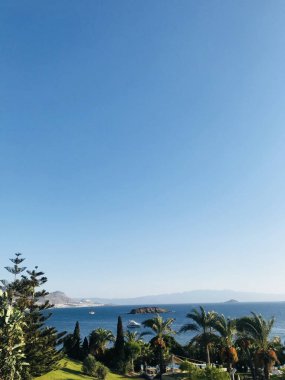 Uçsuz bucaksız bir okyanusa sahip, yemyeşil bitki örtüsü ve açık mavi gökyüzüyle çevrili, nefes kesici kıyı manzarası. Doğa aşıkları ve seyahat için mükemmel..