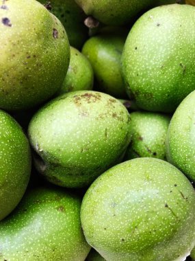 Taze yeşil ceviz kabuklarını sergilerken çekilmiş yakın plan bir görüntü. Parlak yeşil renkler tazeliği ve doğal görünüşü vurgular, organik ve sağlıklı beslenme kavramları için mükemmeldir..