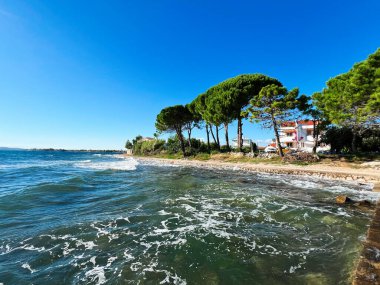 Güneşli bir günde ağaçlarla kaplı bir sahil boyunca hafif dalgaların yer aldığı sakin bir sahil manzarası. Rahatlama ve tatil kavramları için mükemmel..