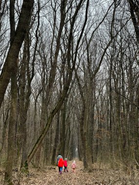 Bir aile kışın yapraksız bir ormanda huzurlu bir yürüyüşe çıkar, doğanın güzelliğini ve huzurunu yakalar. Sahnede beraberlik ve açık havada sevgi sergileniyor..
