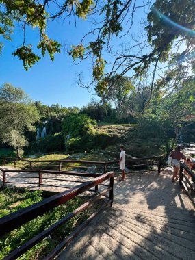 Parlak güneşli bir doğa parkının olduğu sakin bir manzara. Bereketli yeşillik, uzak bir şelale manzaralı ahşap bir patikayı çevreleyerek, barışçıl bir açık hava ortamı yaratır..