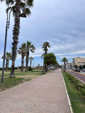 Bulutlu bir gökyüzünün altında yüksek palmiye ağaçları olan manzaralı bir deniz kenarı geçidi. Boş bir yol, huzurlu ve huzurlu bir atmosfer sunuyor. Yürüyüş için mükemmel. Porto Sant 'Elpidio, İtalya.