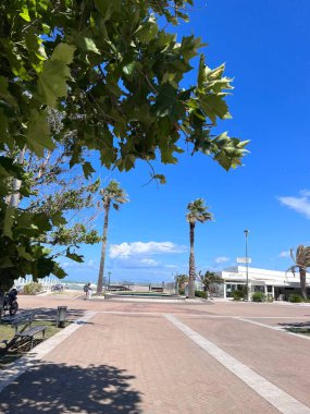 Bereketli yeşil ağaçlar, palmiyeler ve parlak mavi gökyüzü olan güzel bir sahil geçidi. Bölge huzurlu, dinlenmek için ideal ve okyanus kıyısında sakin bir yürüyüş yeri. Porto Sant 'Elpidio, İtalya.