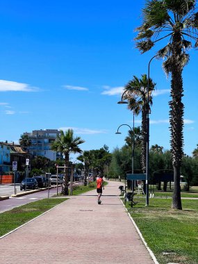 Güneşli bir günde palmiye ağaçlarıyla kaplı bir yolda kaykay yapan genç bir insanın manzarası yol kenarında özgürlük ve rahatlık hissi uyandırıyor. Porto Sant 'Elpidio, İtalya.