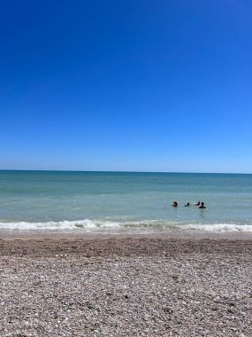Güzel bir çakıl taşı plajı, berrak mavi gökyüzünün altında güneşli bir günün tadını çıkarırken sakin okyanus dalgalarıyla karşılaşıyor. Huzurlu sahne, deniz kenarında yazın esansını ve rahatlamayı yakalar..